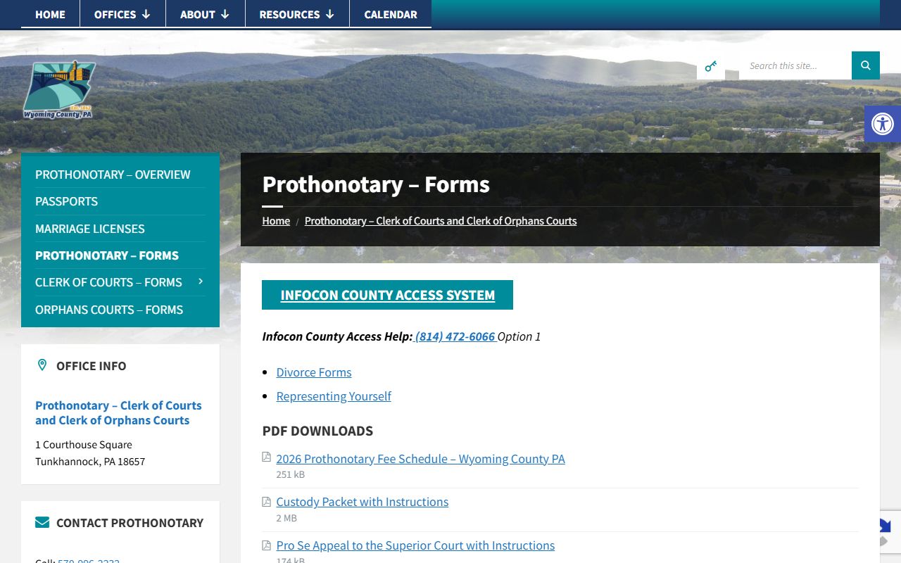 Wyoming County Prothonotary records forms page
