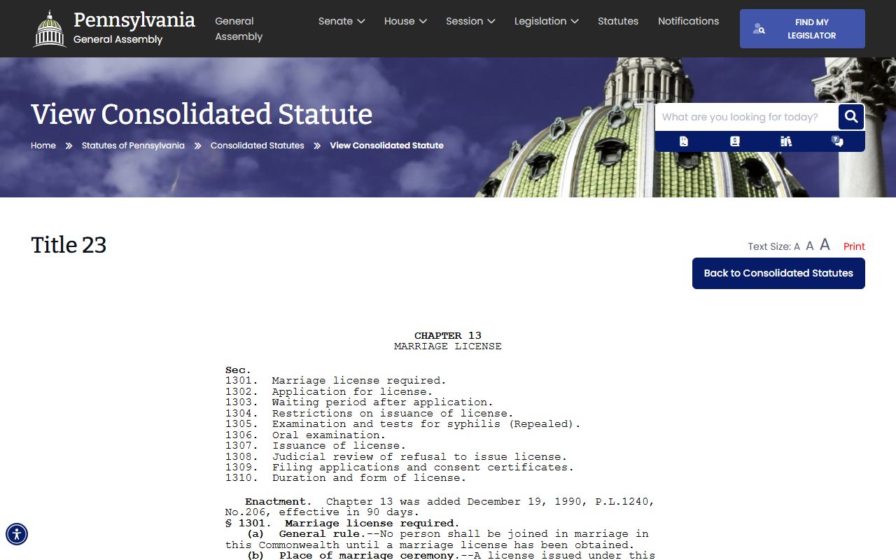 Wyoming County marriage records Pennsylvania statute page